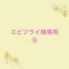 エビフライ様【専用】⑨