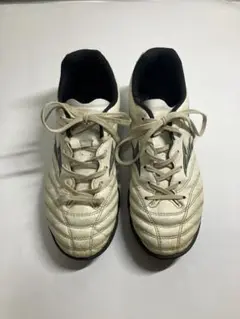Mizuno/ミズノ モナルシーダ ネオ 23.0cm