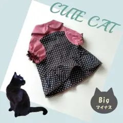 Item thumbnail for item 5c9a88ad-b36d-4a66-a546-f353a58b287f