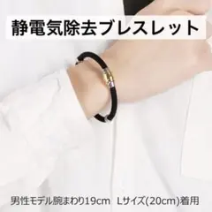 Item thumbnail for item 16fbc0ff-4215-446a-a03b-9c5c25947fc8