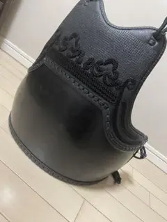 剣道 胴