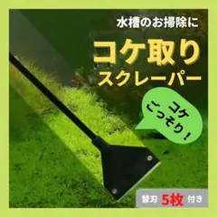 年末の大掃除! 水槽 苔 スクレーパー 簡単 替え刃 5枚入り 熱帯魚 コケ取り