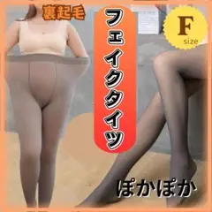 フェイクタイツ　裏起毛　ぽっかぽか　Fサイズ　黒　防寒タイツ　伸縮性　人気商品