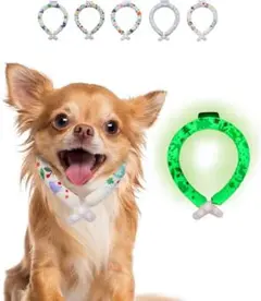 Item thumbnail for item fea95fb1-703b-40b2-b290-8bca623fbbe4