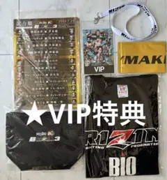 2025年最新】超RIZIN3 vipの人気アイテム - メルカリ