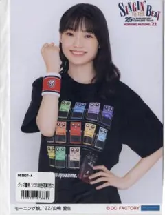 モーニング娘。～SINGIN' TO THE BEAT～グッズ着用ソロ2L生写真