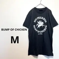 BUMP OF CHICKEN Pegasus youパーカーとポーチ 2025年最新】bump of chicken pegasus youの人気アイテム - メルカリ