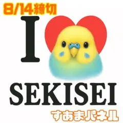 【8月14日22時締切】I♡インコのパネル生地