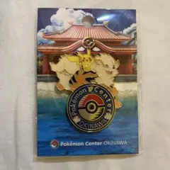 2025年最新】ポケモンセンターオキナワ ピンズの人気アイテム