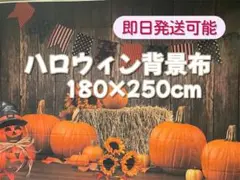 Item thumbnail for item 5b7801c0-1493-4b4d-97e7-16bc00b0f357