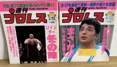 週刊プロレス No.653 663 2冊セット