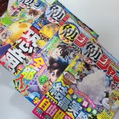 勉タメジャンプ2023年春号・夏号２冊 勉タメジャンプ2024年1,2
