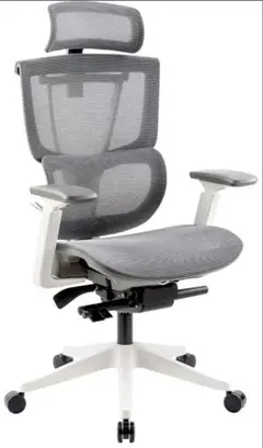 FLEXISPOT オフィスチェア デスクチェア C7 Air