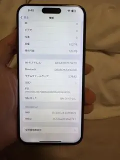 Apple iPhone 15 Pro Max 1TB，美品，バッテリー100％
