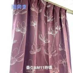 新品カーテン　お得　100×135㌢丈　２枚入　エンジ色　金色箔プリント　華　秋