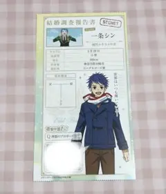 KING OF PRISM キンプリ プリズム結婚調査報告書 一条シン 涼野ユウ