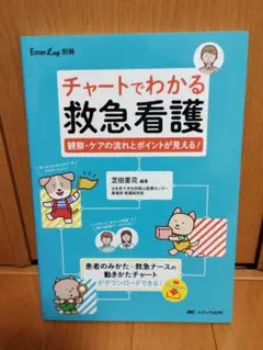 チャートでわかる救急看護 : 観察・ケアの流れとポイントが見える!