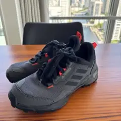 Adidas アディダス テレックス AX4 GORE-TEX 26cm