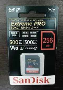 Item thumbnail for item 5f573585-46f4-444e-8f3b-7805d833cf1a