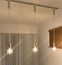 大光電機 ダクトレール用ペンダントライト 3点セット