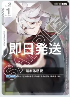 ガンダムカードゲーム　溢れる慈愛　パラレル　プロモ