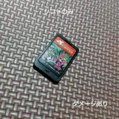 スプラトゥーン2 ソフトのみ