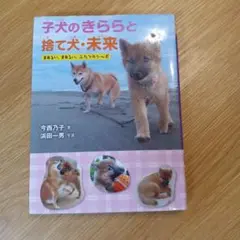 子犬のきららと捨て犬・未来