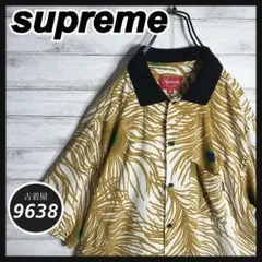 Item thumbnail for item 3134b8a9-901a-4586-a28d-bb3350b5ab05