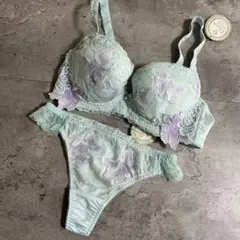 新品　ELENE X-Rated エレーヌ　ブラジャーショーツセット　C75 L