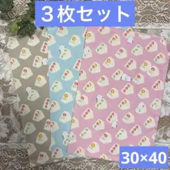３枚組★ランチョンマット★給食ナフキン★フルーツサンドシマエナガB