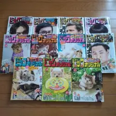 ビッグコミック&ビッグコミックオリジナル11冊まとめ売り