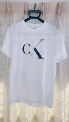 カルバンクライン メンズ ロゴTシャツ ホワイトUS Sサイズ