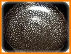 Item thumbnail for item 02c6d809-d37d-4376-845c-00647ae45e8c