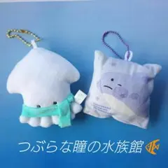 【匿名配送】つぶらな瞳の水族館（クリスマス有） マスコット ２点【景品】海の癒し