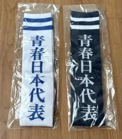 新しい学校のリーダーズ　 青春日本代表靴下（紺）（白）セット