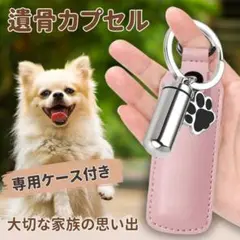Item thumbnail for item dd4d5517-62c3-459e-94d2-ea79634246bb