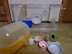 Item thumbnail for item 835bea79-ed6c-4ca0-938b-7c37aa55ecd2