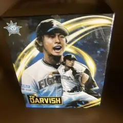 ダルビッシュ有 ボブルヘッド