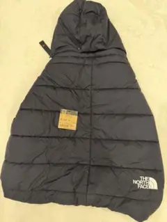 Item thumbnail for item f1daada0-3799-4312-9296-d86b91e8fc84