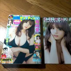 Item thumbnail for item f41a5ea4-cd49-4672-8bd3-b9f90b308e62