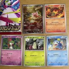 ポケモン メガシンフォニア カード5枚セット ヌイコグマAR