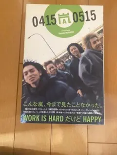 嵐04150515 : 嵐のピカ・ンチな日々