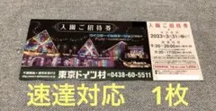 速達対応 東京ドイツ村入場券 1枚 2023年3月31日まで