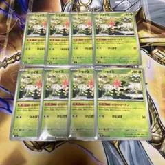 シェイミ はなのカーテン　8枚