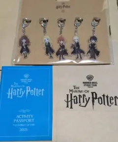 ハリポタ スタジオツアー東京 アクリル キーホルダー ５キャラ パスポート 袋
