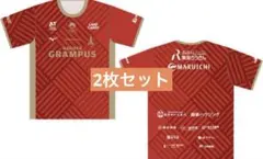 2枚セット 名古屋グランパス 鯱の大祭典2025 ユニフォーム うちわ付き