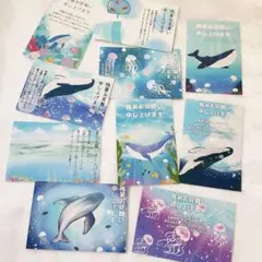 残暑見舞い　私製はがき　10枚　海の生き物　夏　かわいい　おしゃれ