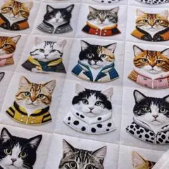1㍍長公爵猫さんプリント生地ハギレ布
