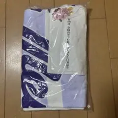 愛工大名電 全国高等学校野球選手権大会 出場記念 タオル