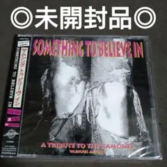 something to believe in　ラモーンズ トリビュート